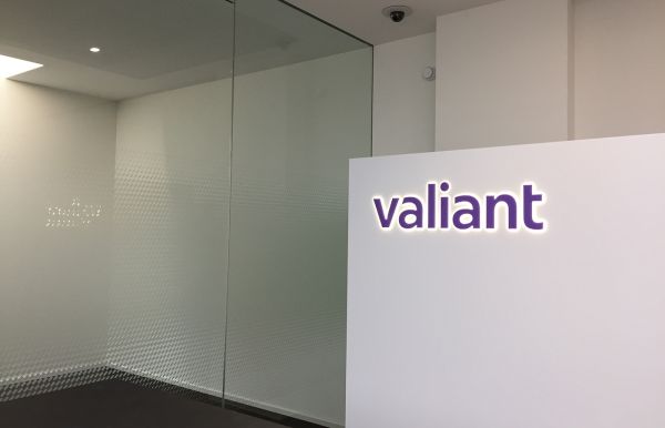 Sichtschutz Valiant Bank, Bern.jpg